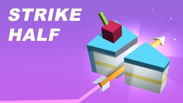 Half Split Physics Puzzle