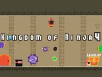 Ninja Ball Bounce Adventure