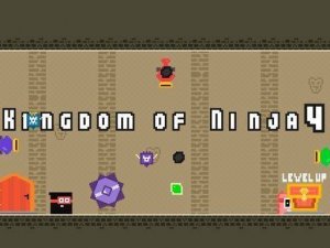 Kingdom of Ninja 4: Ball Bounce Adventure