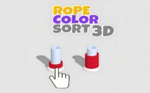 Rope Organizer 3D Challenge - Ludoryx free online game